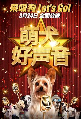 久久精品亚洲